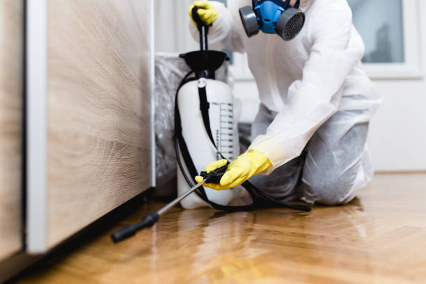 Best Pest Removal Services  in Clever, MO