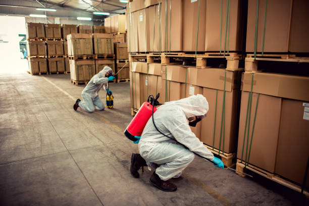 Trusted Clever, MO Pest Control Experts