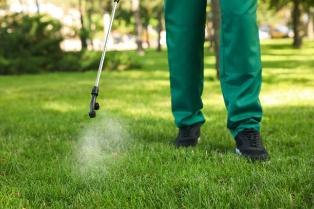 Best Insect Control  in Clever, MO