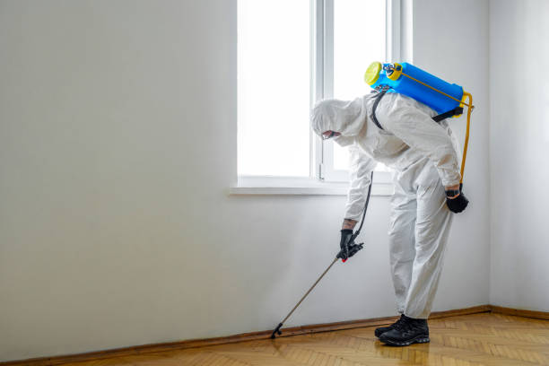  Clever, MO Pest Control Pros