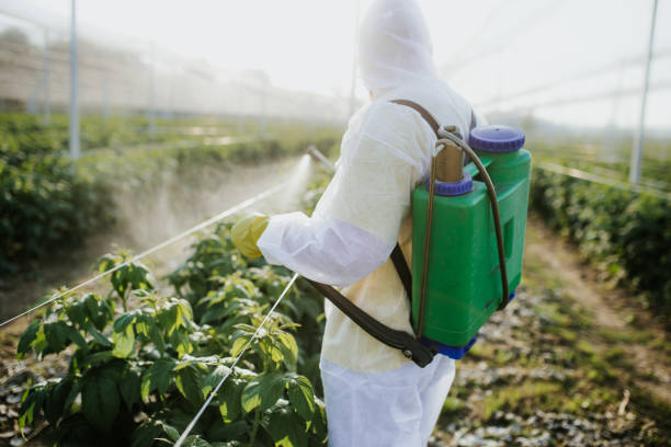 Best Bed Bug Extermination  in Clever, MO